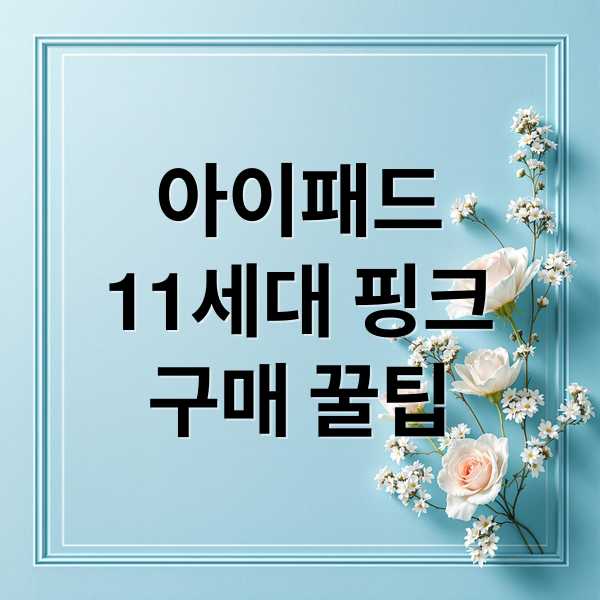 아이패드
11세대 핑크
구매 꿀팁 (아이패드 11세대 핑크)