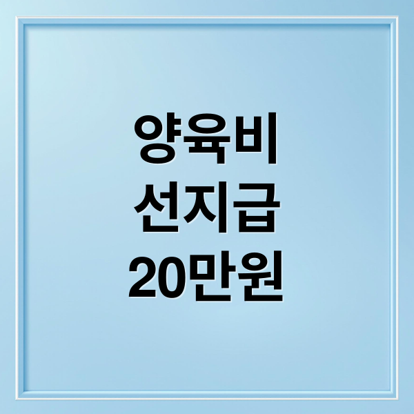 양육비
선지급
20만원 (양육비 선지급제)