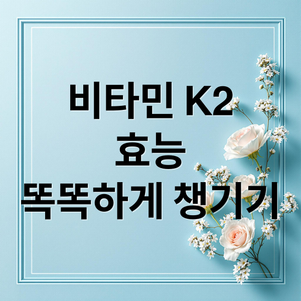 비타민 K2
효능
똑똑하게 챙기기 (비타민 k2 효능 권장량)
