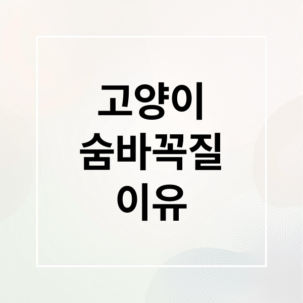 고양이
숨바꼭질
이유 (고양이 숨바꼭질 이유)