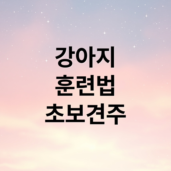 강아지
훈련법
초보견주 (강아지 훈련 장소 선택)
