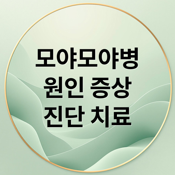 모야모야병
원인 증상
진단 치료 (모야모야병 뜻 원인 증상 치료 수술 총정리)