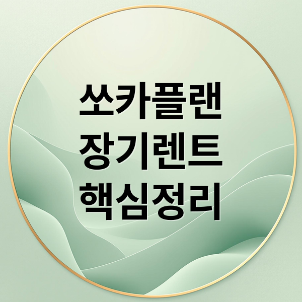 쏘카플랜
장기렌트
핵심정리 (쏘카 장기 렌트카)