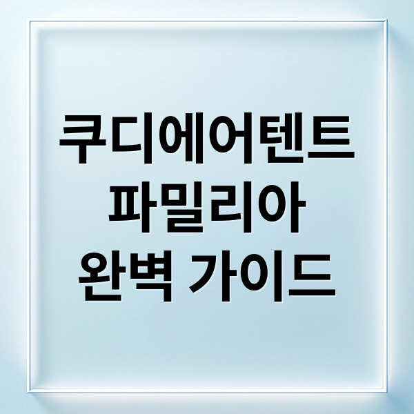 쿠디에어텐트
파밀리아
완벽 가이드 (coody에어텐트 파밀리아 관련되서 추천 아이템 및 실제후기 만들어줘)