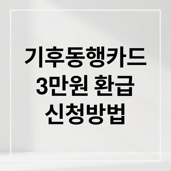 기후동행카드
3만원 환급
신청방법 (기후동행카드 환급 3만 원)