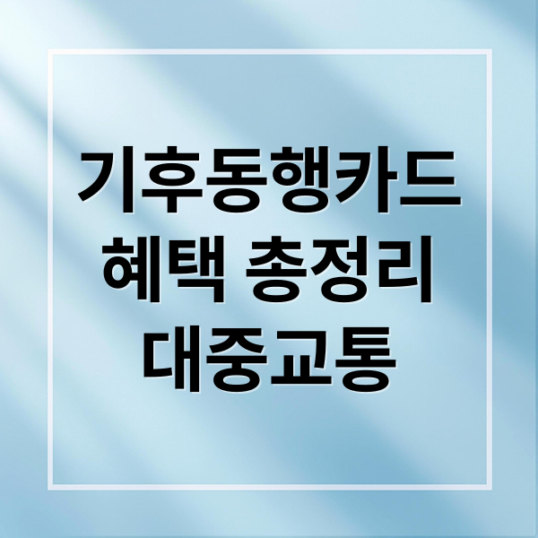 기후동행카드
혜택 총정리
대중교통 (기후동행카드 경기도)