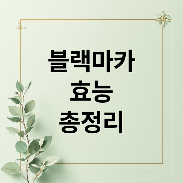 블랙마카
효능
총정리 (블랙마카 효능 부작용)
