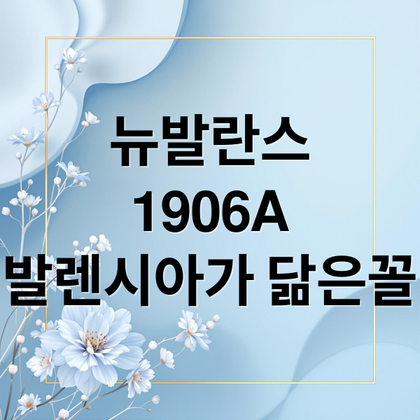뉴발란스
1906A
발렌시아가 닮은꼴 (뉴발란스 1906A)