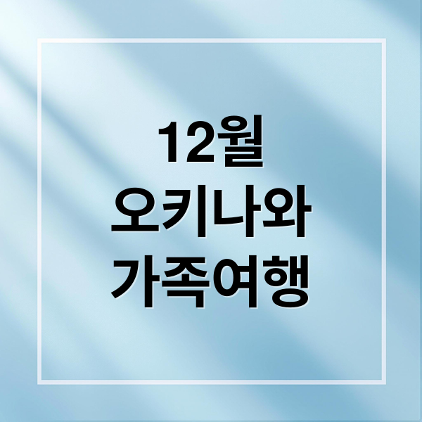 12월
오키나와
가족여행 (오키나와 12월 여행)
