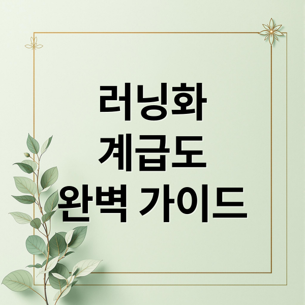 러닝화
계급도
완벽 가이드 (러닝화 계급도 가이드)