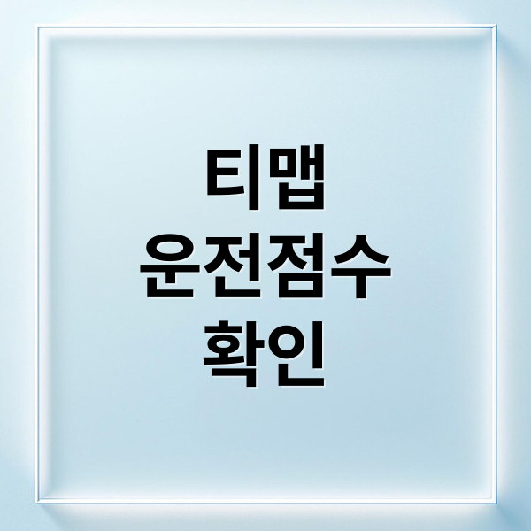 티맵
운전점수
확인 (티맵 운전점수 초기화)