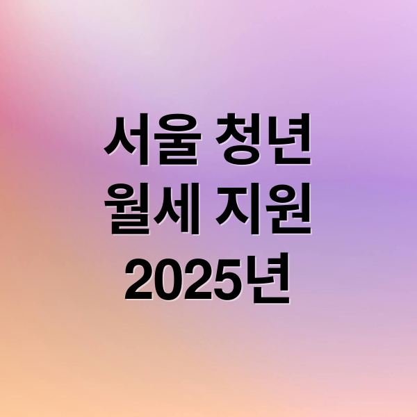 서울 청년
월세 지원
2025년 (청년월세지원)