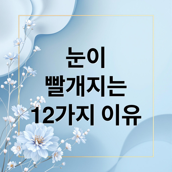 눈이
빨개지는
12가지 이유 (눈 충혈 이유 12가지)