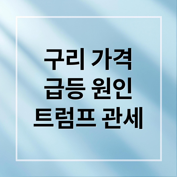 구리 가격
급등 원인
트럼프 관세 (구리 관련 대장주 트럼프 관세)