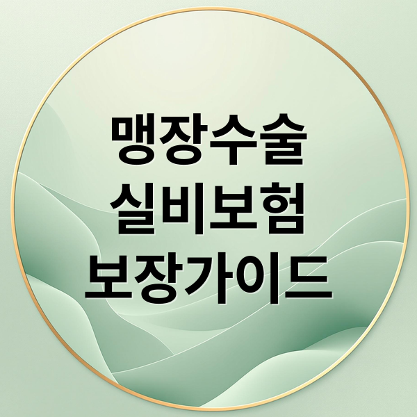 맹장수술
실비보험
보장가이드 (맹장수술 의료보험 실비보험)