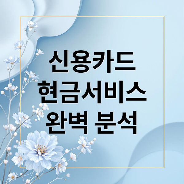 신용카드
현금서비스
완벽 분석 (신용카드현금서비스)