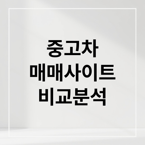 중고차
매매사이트
비교분석 (중고차매매사이트)