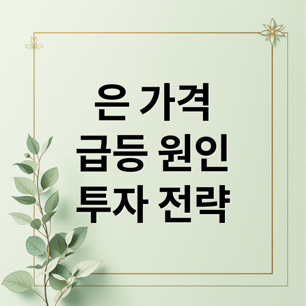 은 가격
급등 원인
투자 전략 (은 가격 상승 이유)