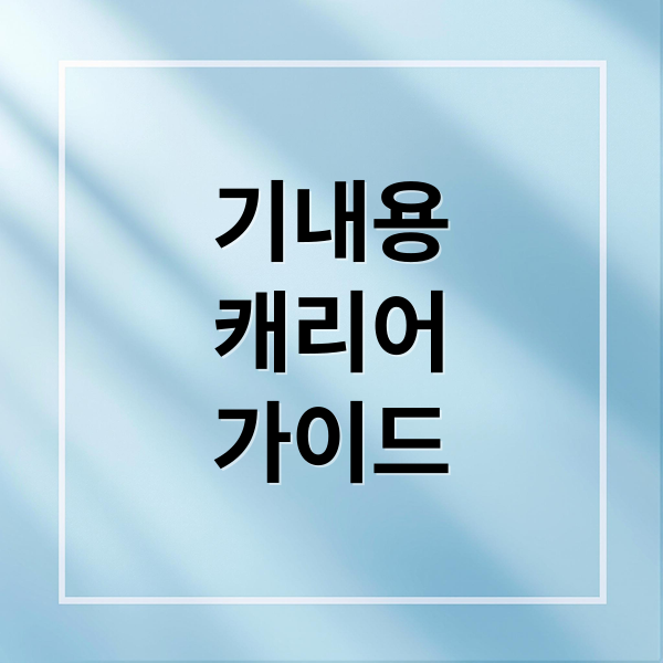 기내용
캐리어
가이드 (기내용캐리어)