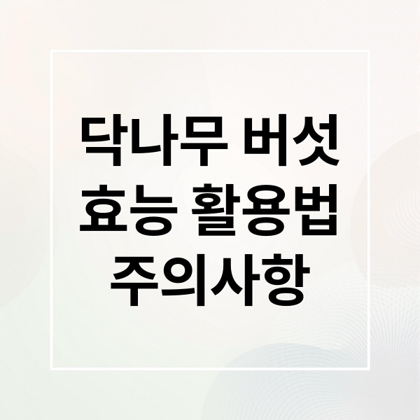 닥나무 버섯
효능 활용법
주의사항 (닥나무 버섯 효능)