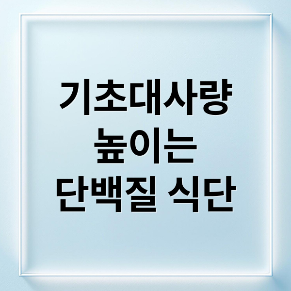 기초대사량
높이는
단백질 식단 (기초대사량)