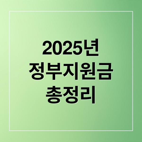 2025년
정부지원금
총정리 (내 상황에 맞는 정부지원금 찾는 1분 테스트)