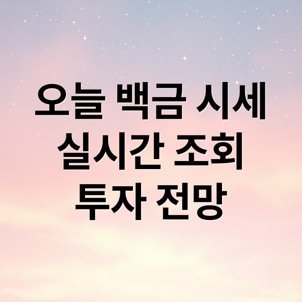 오늘 백금 시세
실시간 조회
투자 전망 (백금 시세 조회 앱 도구)