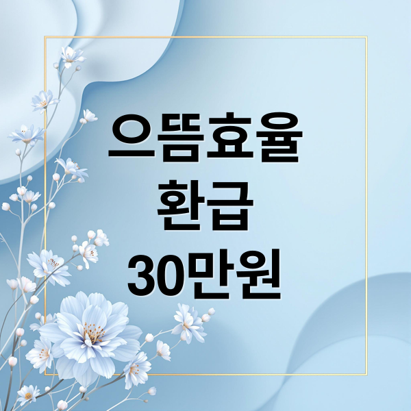 으뜸효율
환급
30만원 (으뜸효율 환급과 브랜드 할인 중복으로 받는 법)