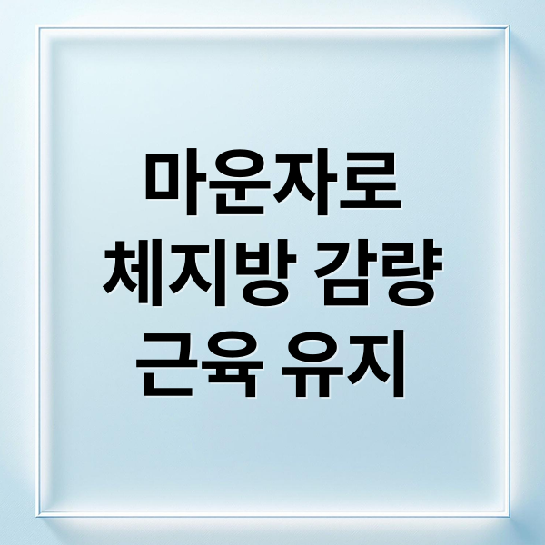 마운자로
체지방 감량
근육 유지 (마운자로 운동 효과 체지방 감량)