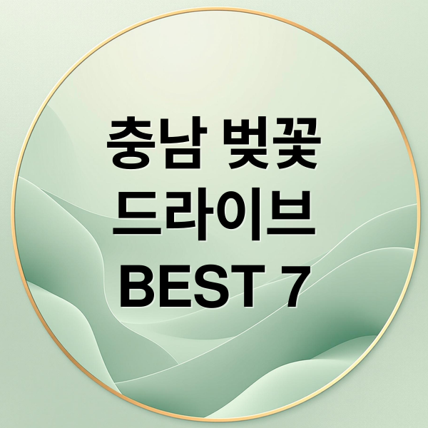 충남 벚꽃
드라이브
BEST 7 (충남 벚꽃 명소 드라이브)