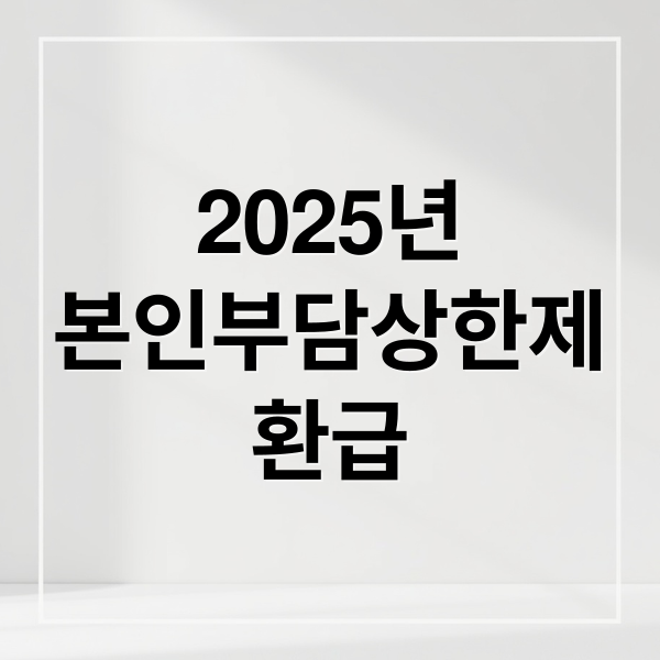 2025년
본인부담상한제
환급 (본인부담상한제 환급 신청)