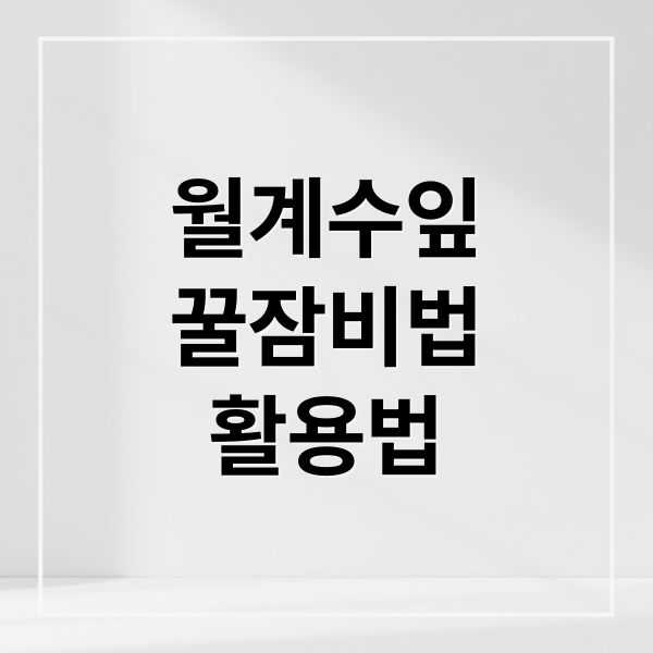 월계수잎
꿀잠비법
활용법 (월계수 잎 꿀잠 과학적 이유)