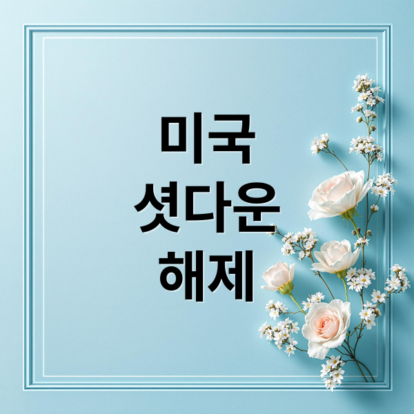 미국
셧다운
해제 (미국 주식 셧다운 해제)