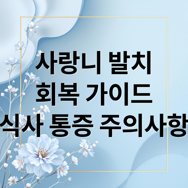 사랑니 발치
회복 가이드
식사 통증 주의사항 (사랑니 발치 후 식사 관리법)
