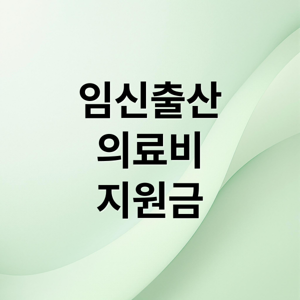 임신출산
의료비
지원금 (임신 출산 의료비 정부 지원)