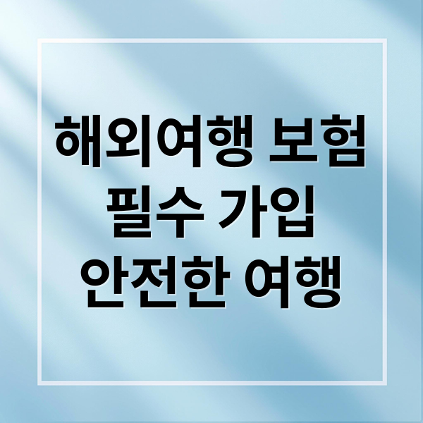 해외여행 보험
필수 가입
안전한 여행 (해외여행 보험 추천)