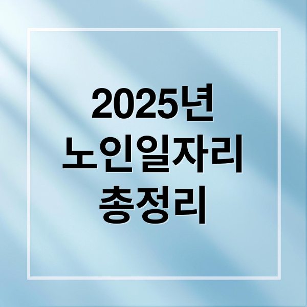 2025년
노인일자리
총정리 (노인일자리 찾기)