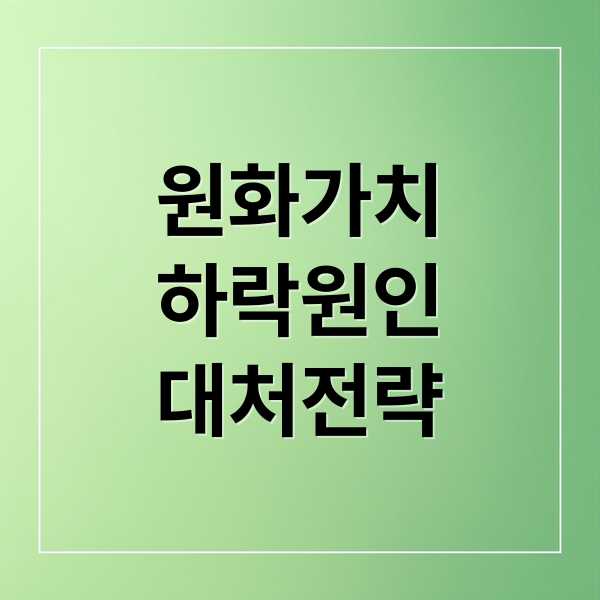 원화가치
하락원인
대처전략 (원화가치 하락 영향)