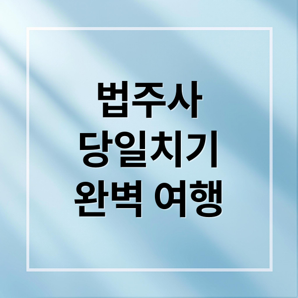 법주사
당일치기
완벽 여행 (속리산 법주사 당일치기 여행 코스)