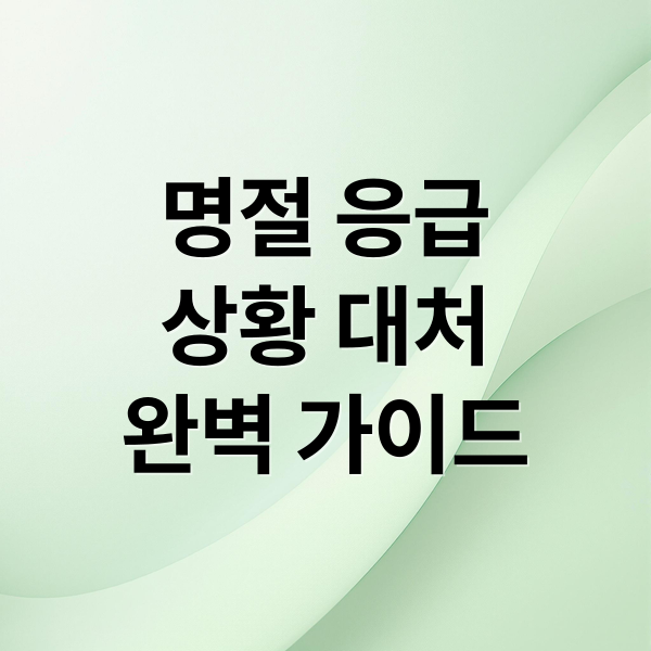 명절 응급
상황 대처
완벽 가이드 (연휴 응급   상황 대처법 병원찾기)
