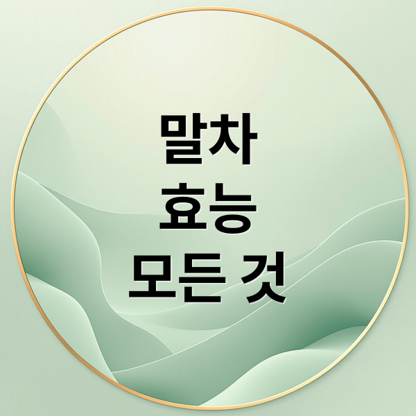 말차
효능
모든 것 (말차)