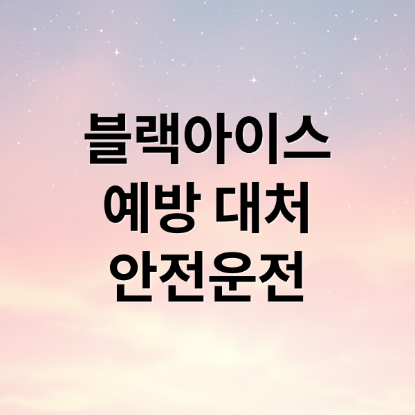 블랙아이스
예방 대처
안전운전 (블랙아이스 구별법 사고 예방)