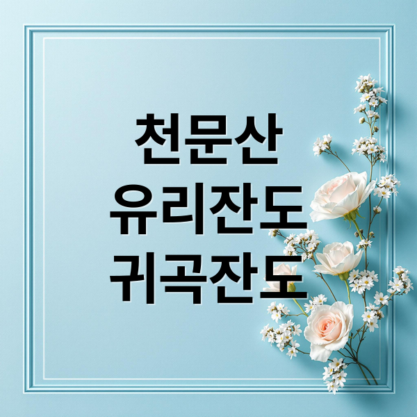 천문산유리잔도귀곡잔도 (장가계 천문산 귀곡잔도 유리잔도)