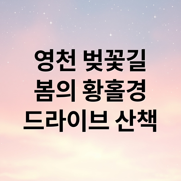 영천 벚꽃길
봄의 황홀경
드라이브 산책 (경북 영천 벚꽃백리길 명소)