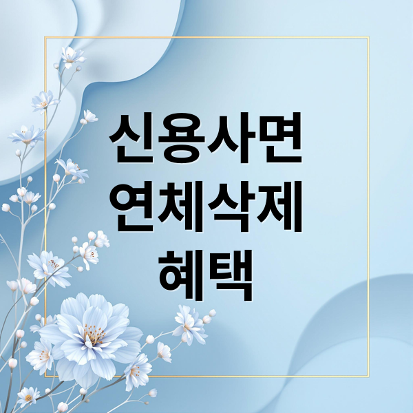 신용사면
연체삭제
혜택 (연체자 신용사면 조건 대상 신청방법은 어떻게? 연체이력 삭제 제도)