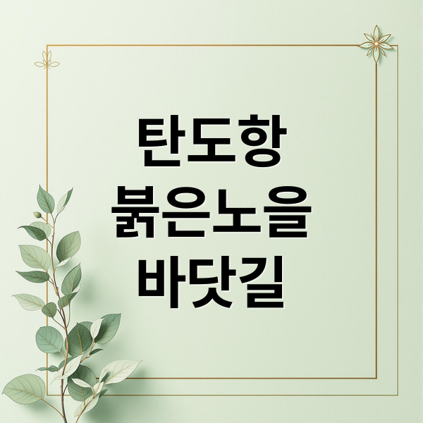 탄도항
붉은노을
바닷길 (안산 탄도항 명소)