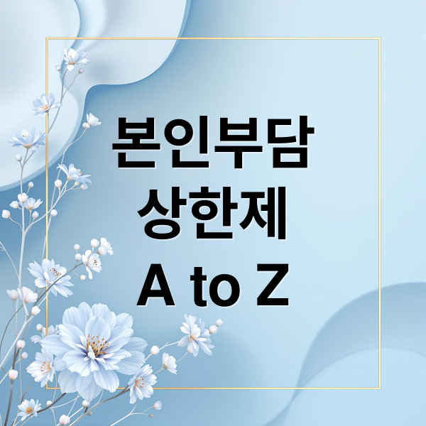 본인부담
상한제
A to Z (의료비 환급 본인부담상한제 신청)