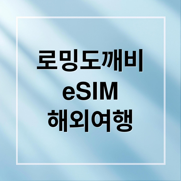 로밍도깨비
eSIM
해외여행 (로밍 도깨비 eSIM 등록)