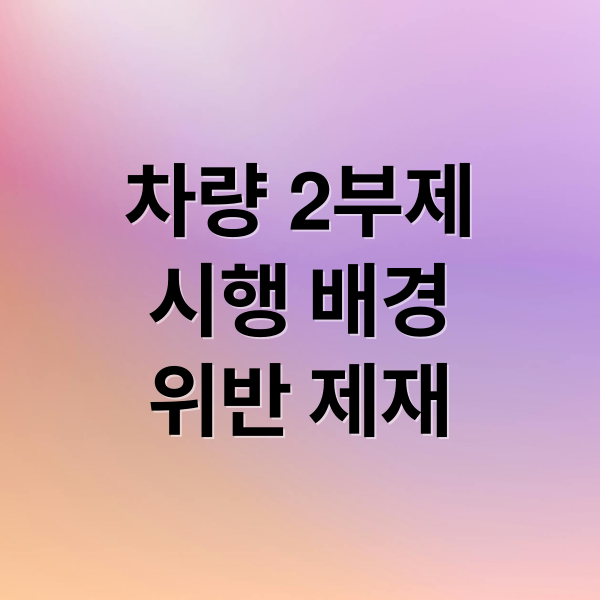 차량 2부제
시행 배경
위반 제재 (차량2부제 시행 방법)