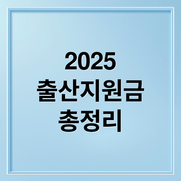2025
출산지원금
총정리 (출산지원금)